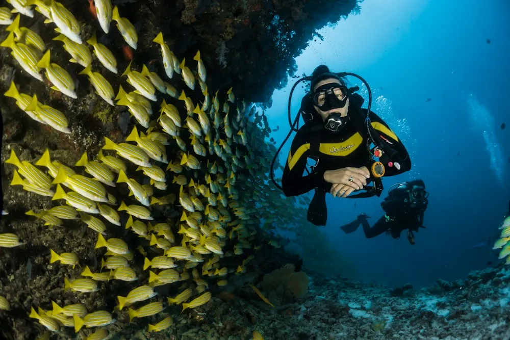 Snorkel and dive